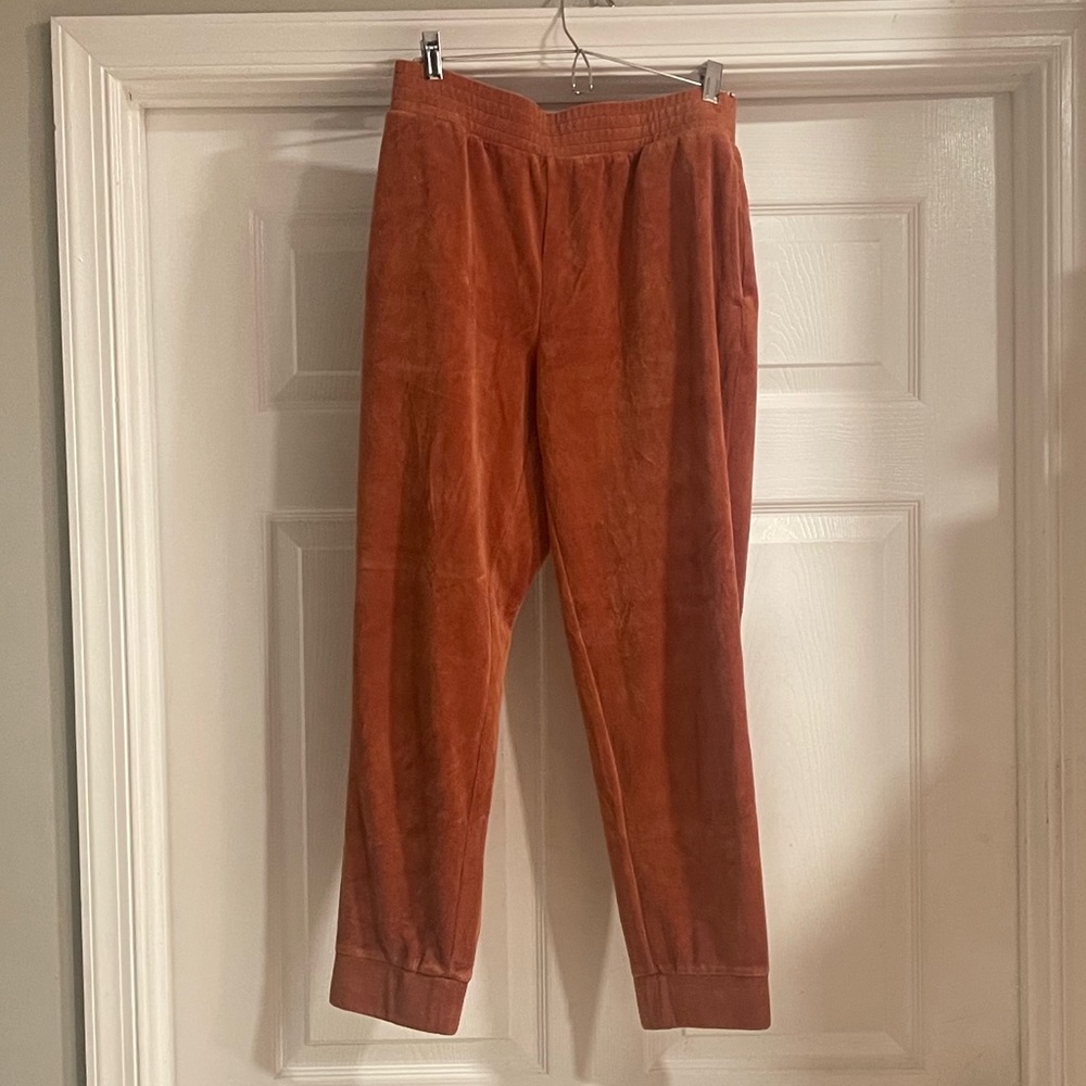 Wild Fable burnt orange velvet pants size small good preowned condition